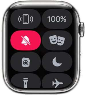 Apple Watch: Do Not Disturb Mode
