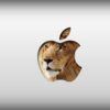 Mac Sounds Basics AppleCare Warranty