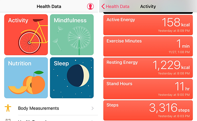 history apple first quarter 2019 health app - History of Apple - First Quarter 2019 Timeline