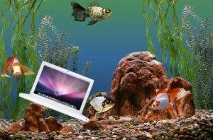If Your Apple Mac Fell in Water If Your Apple Mac Fell in Water