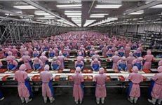 Foxconn Group: The Largest Manufacturer of All Electronics in the World