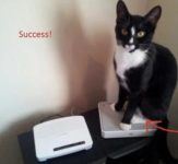 Liam’s cat is well off with two routers! Credit photo: https://consumermediallc.files.wordpress.com/2012/03/success.jpg?w=515&h=458