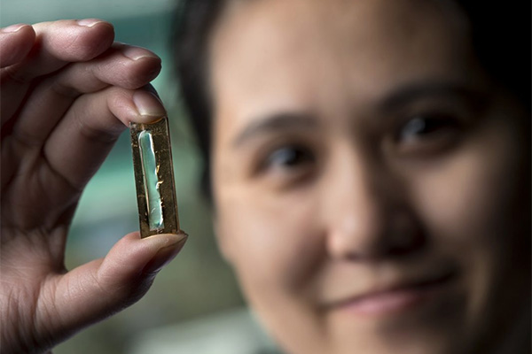 nanowire - Batteries of the Future - What Will They Be