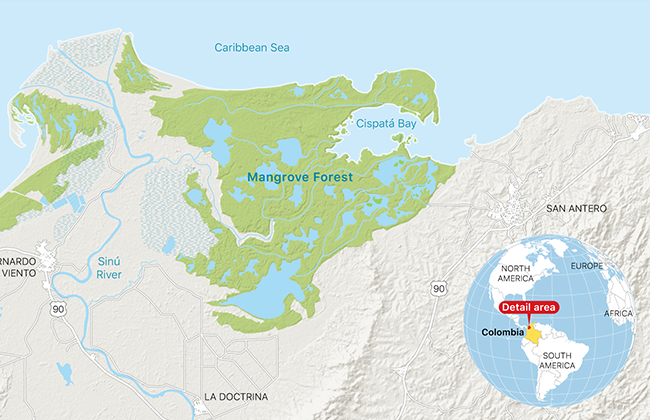 apple helps save a mangrove forest in columbia map - Apple Helps Save a Mangrove Forest in Columbia