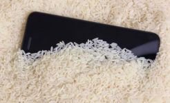 iPhone Falls Into Water: Should You Use Rice to Dry It?