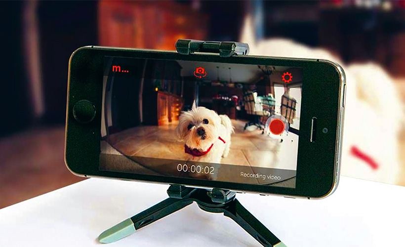 turn your old smartphone into a security camera pets - Turn Your Old Smartphone Into a Security Camera