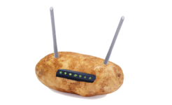 Potatoes Absorb and Reflect Wi-Fi Signals