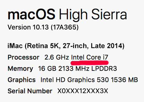 What processor type have my iMac
